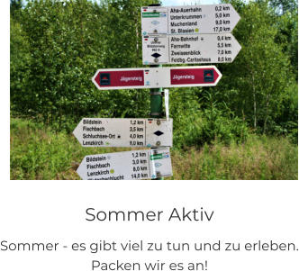 Sommer Aktiv Sommer - es gibt viel zu tun und zu erleben. Packen wir es an!