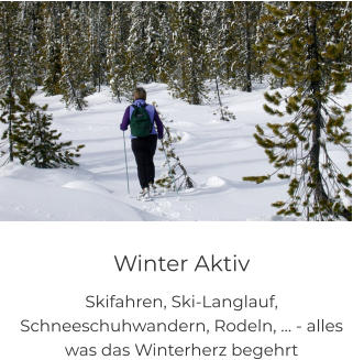 Winter Aktiv Skifahren, Ski-Langlauf, Schneeschuhwandern, Rodeln, … - alles was das Winterherz begehrt